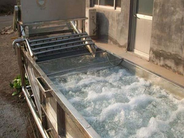 水果根莖類(lèi)消毒清洗機(jī)